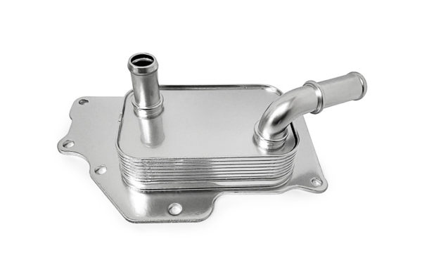 xc sports(中国区)-官方网站